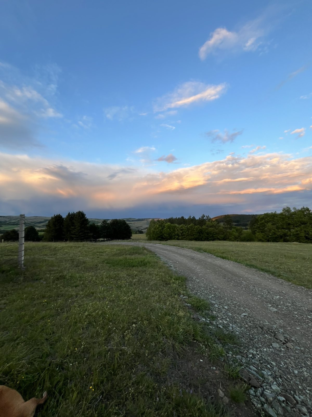 Prodaja placa u selu Ljutice-Tometino Polje