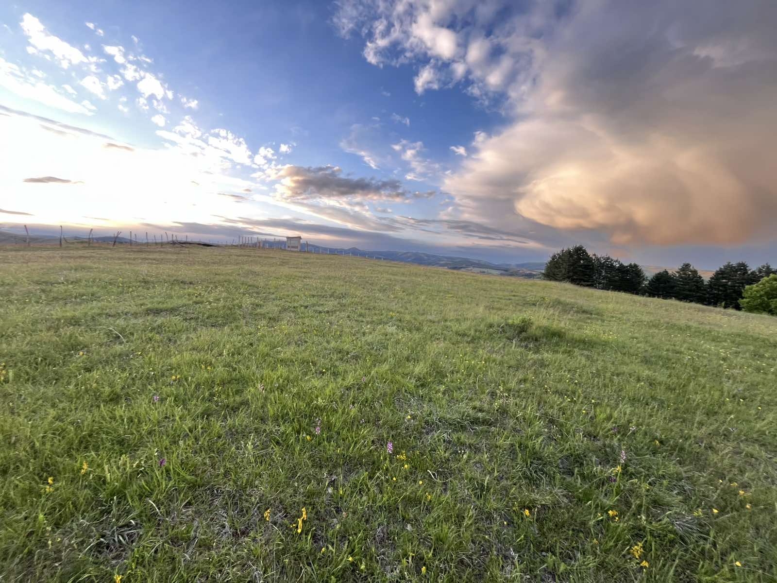 Prodaja placa u selu Ljutice-Tometino Polje