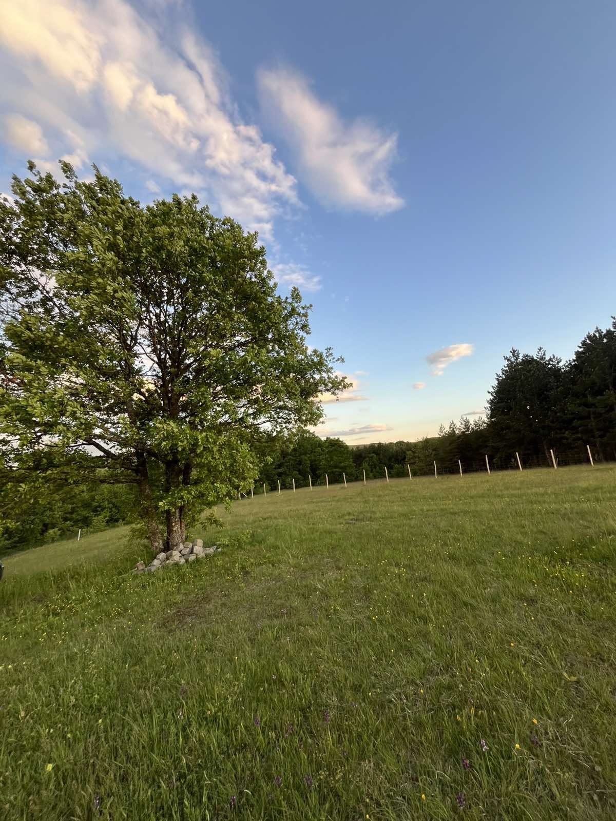 Prodaja placa u selu Ljutice-Tometino Polje