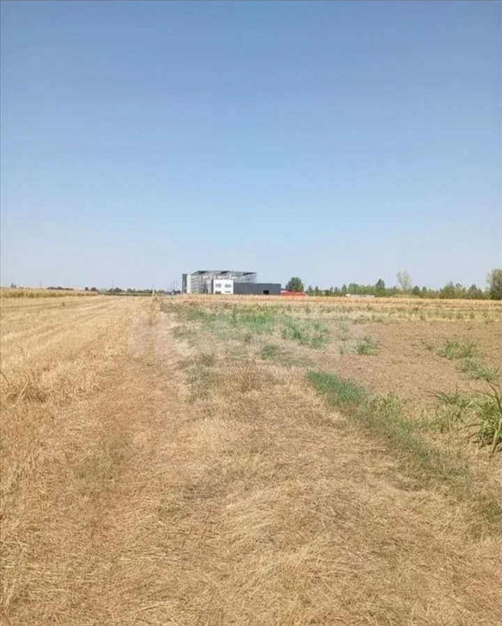 Dobanovci-gradjevinsko zemljiste 103 ara