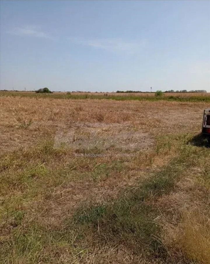 Dobanovci-gradjevinsko zemljiste 103 ara