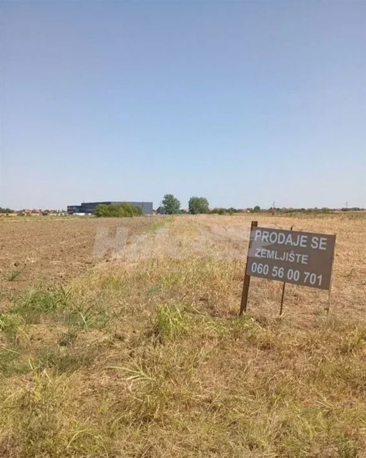 Dobanovci-gradjevinsko zemljiste 103 ara