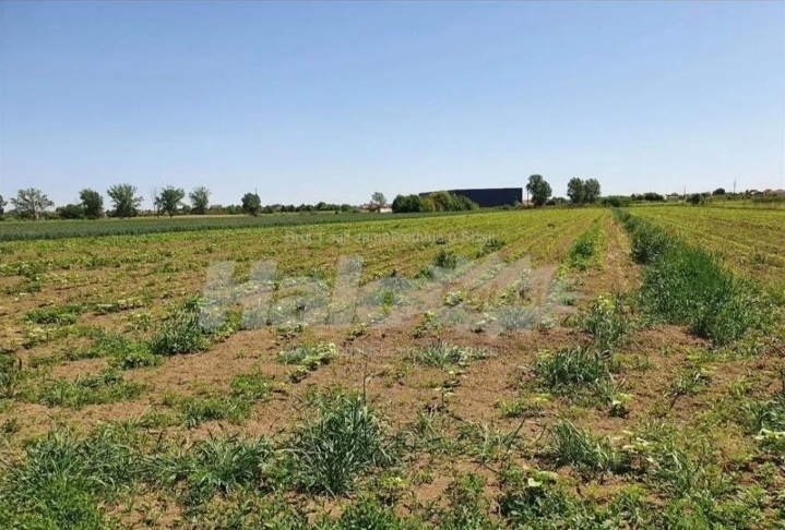 Dobanovci-gradjevinsko zemljiste 103 ara