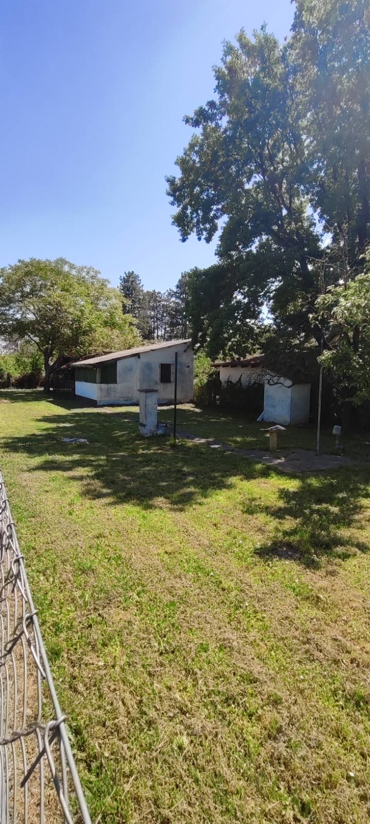 Prodajem plac Novi Sad-Veternik