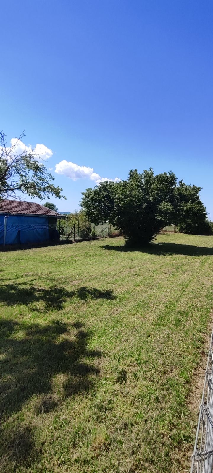 Prodajem plac Novi Sad-Veternik