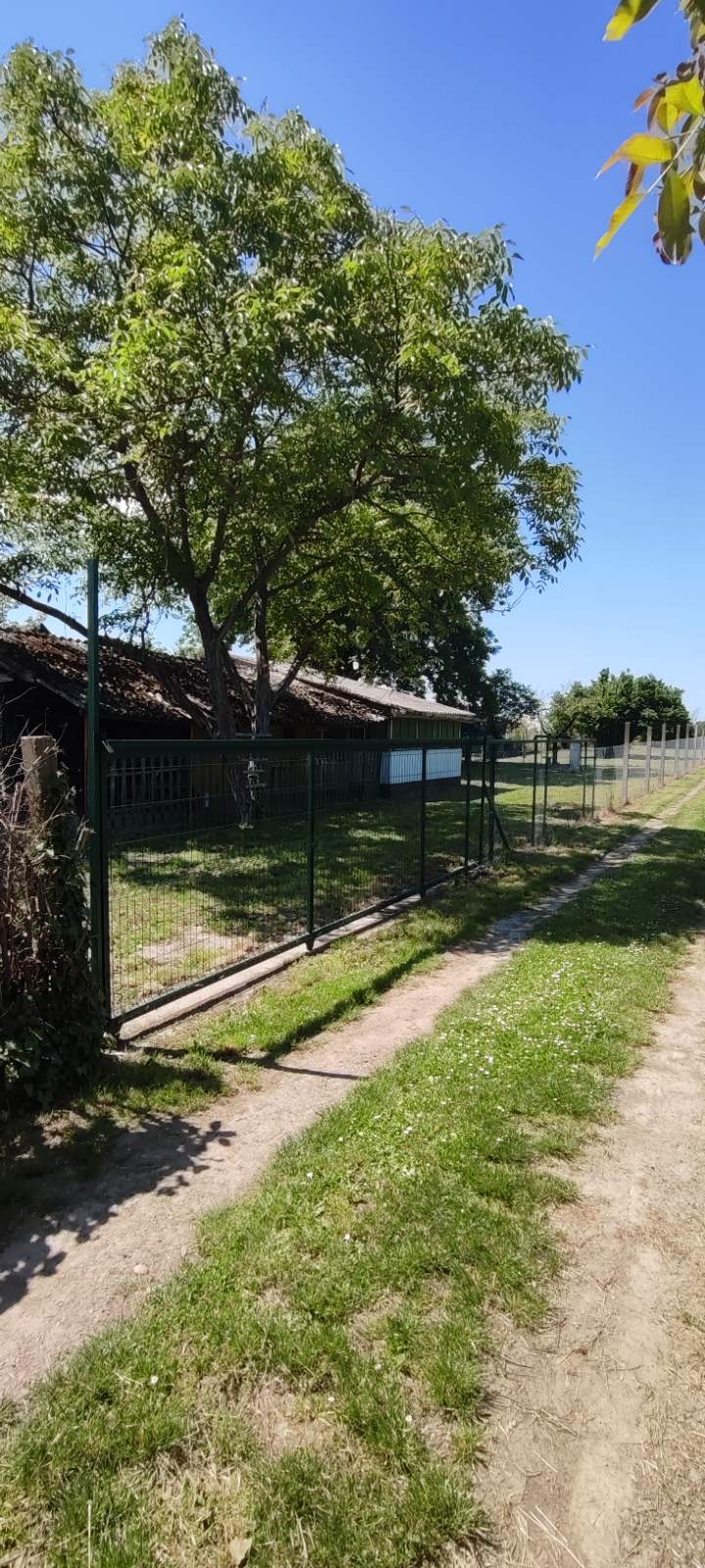 Prodajem plac Novi Sad-Veternik