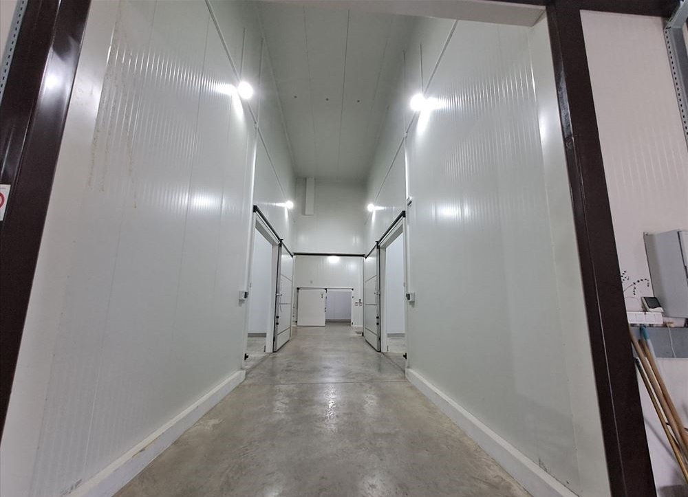 Hladnjača od 1000m2 Čačak-Viljuša