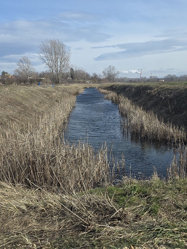 Zemljište na prodaju/zakup - Plac na Dunavu