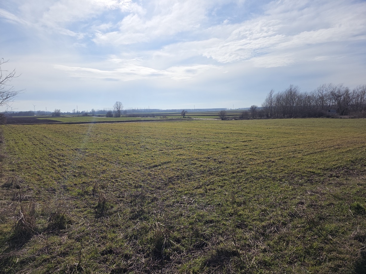 Zemljište na prodaju/zakup - Plac na Dunavu