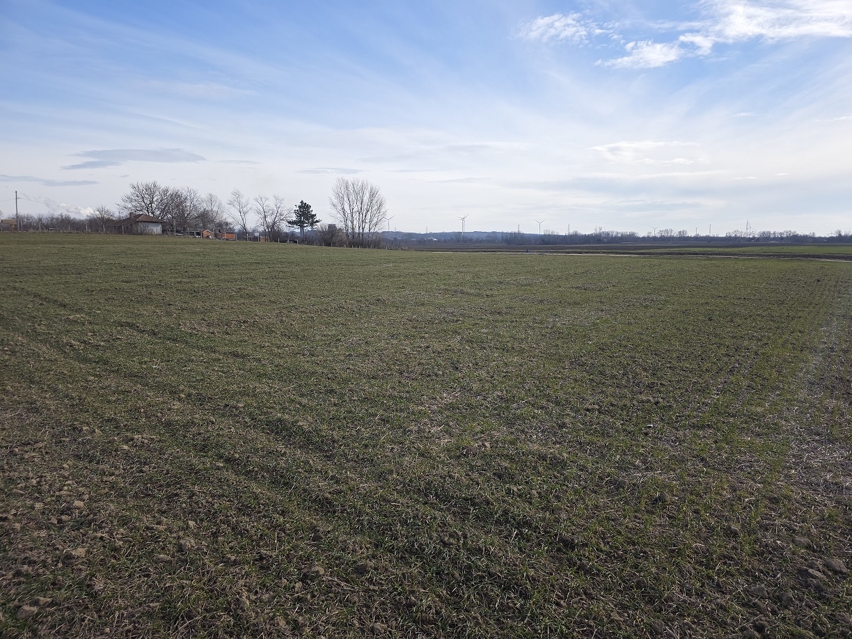 Zemljište na prodaju/zakup - Plac na Dunavu