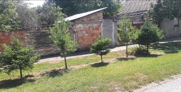 Prodajem kucu u Debeljaci-Kovacica