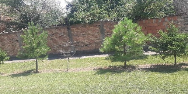 Prodajem kucu u Debeljaci-Kovacica