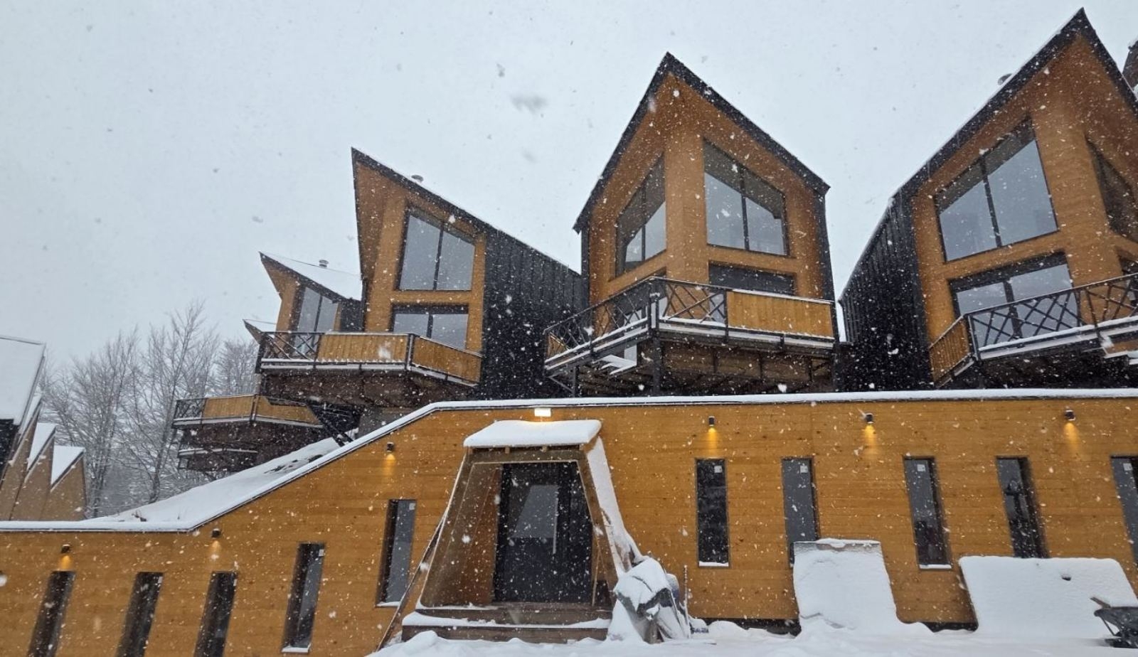 Prodajem kucu i apartman-kompleks Chalet