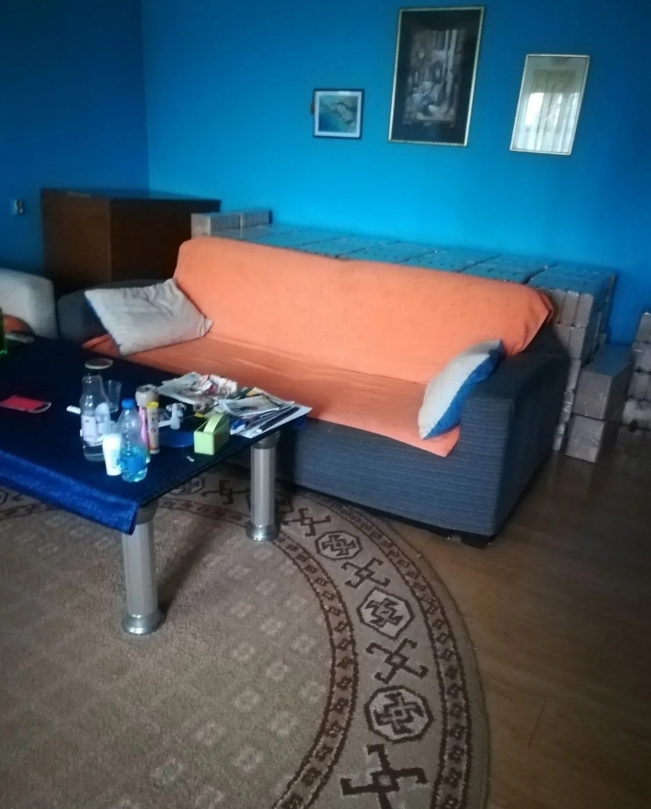 Prodajem kucu u Borci