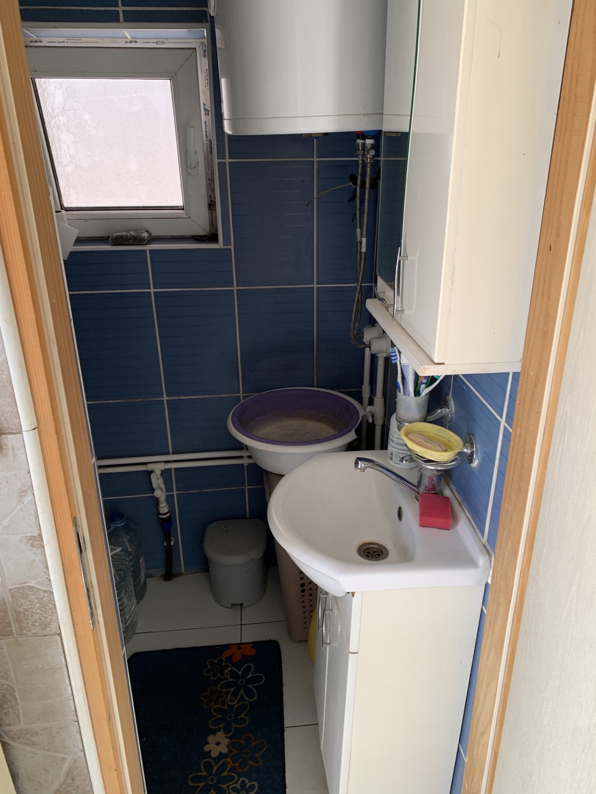 Prodajem domacinstvo u Velikim Crljenima