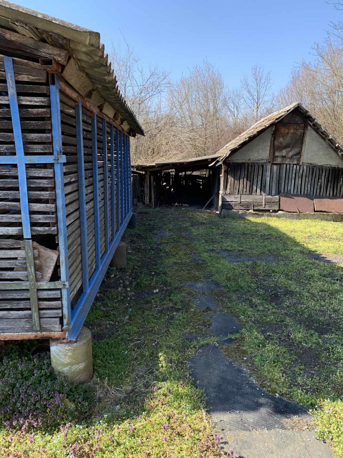 Prodajem domacinstvo u Velikim Crljenima