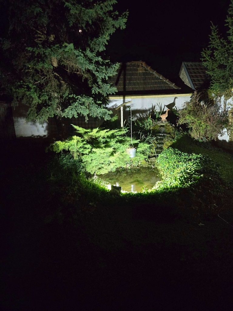 Retka prilika-prodaja kuce u Novom Sadu