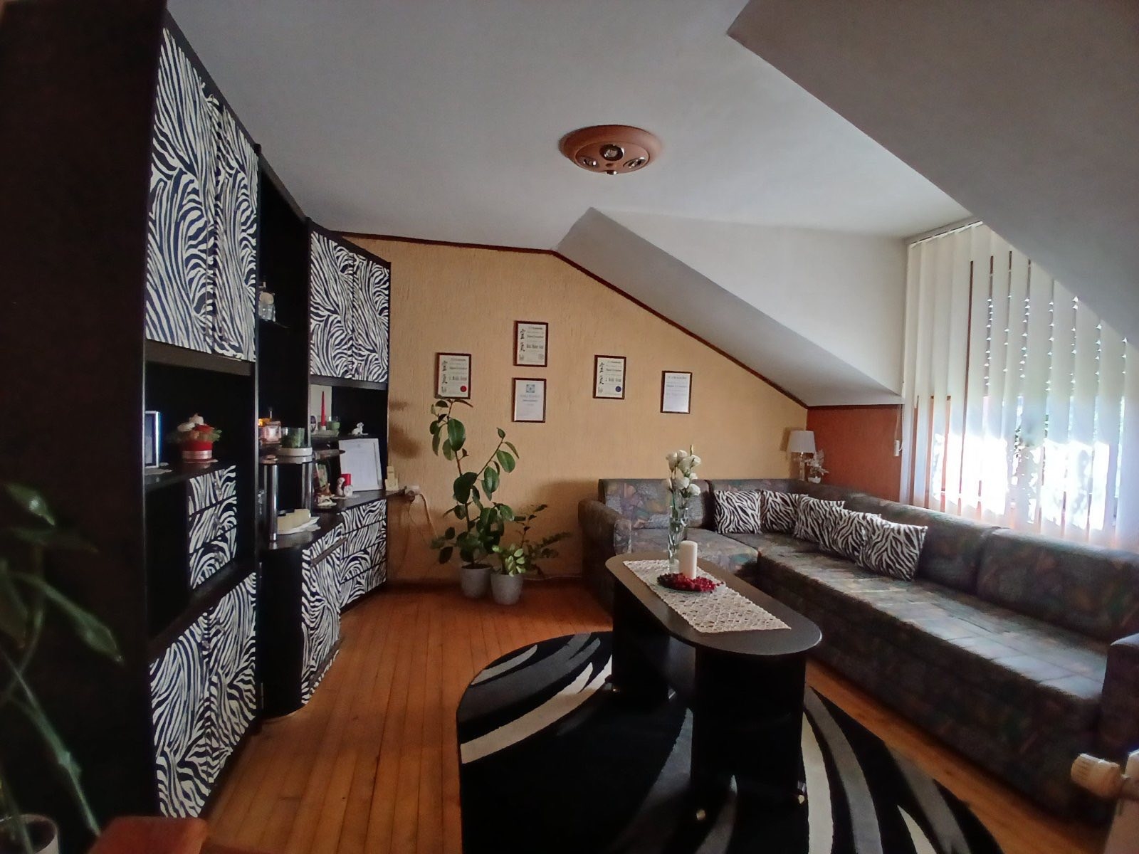 Porodična kuća u Subotici-odlična lokacija,odmah u