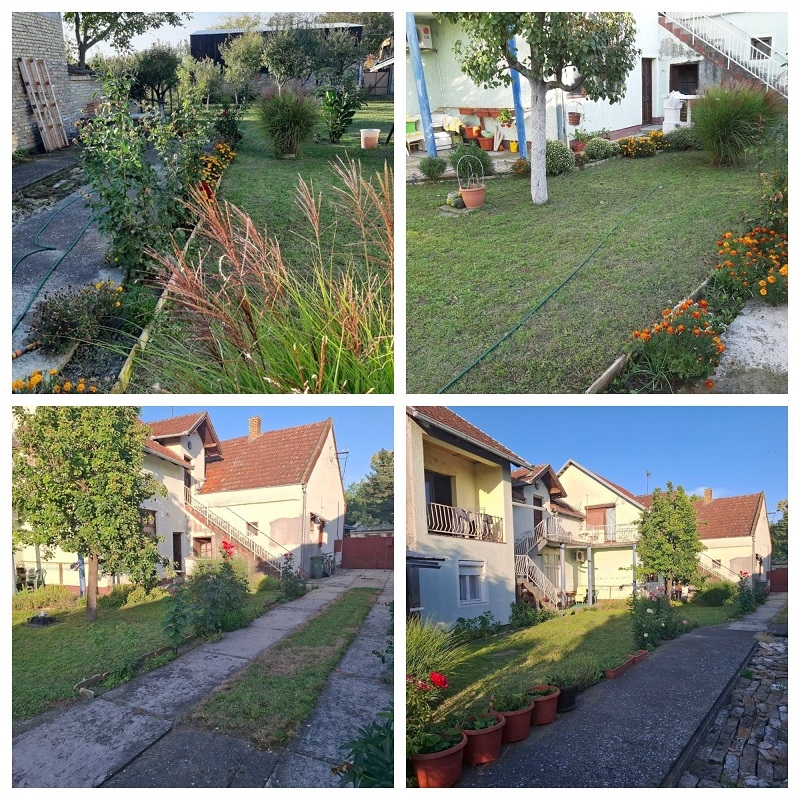 Prodajem kucu sa lokalom i 3 zasebna stana