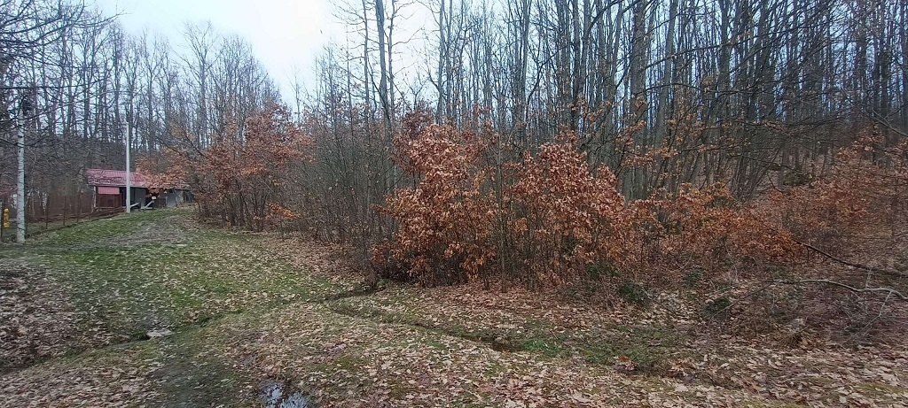 Plac u Atomskoj Banji