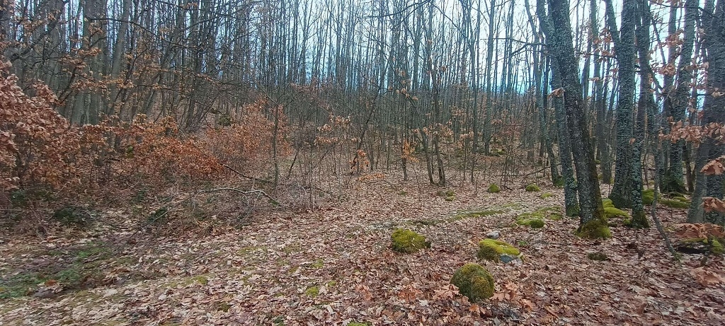 Plac u Atomskoj Banji