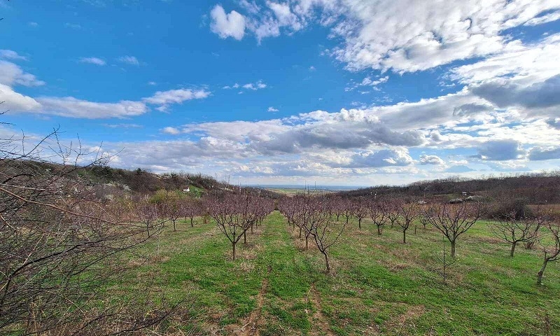 Prodajem plac-zemlju LUX zona