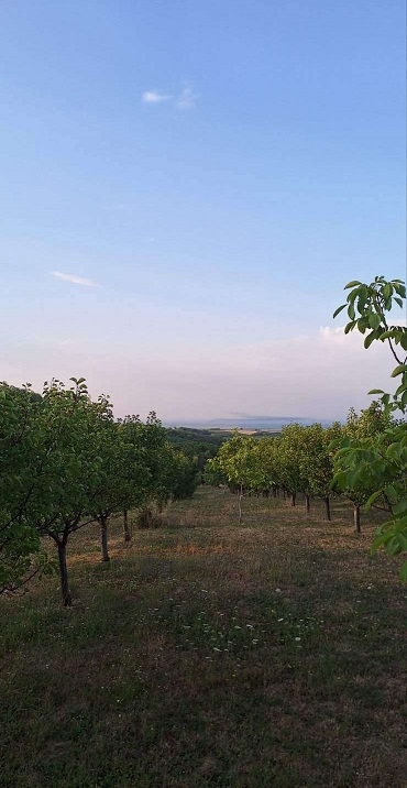 Prodajem plac-zemlju LUX zona