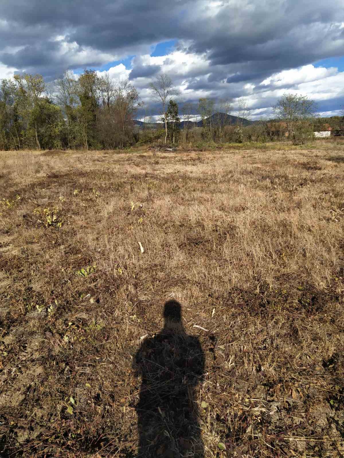 Plac na prodaju Cacak-Mojsinje