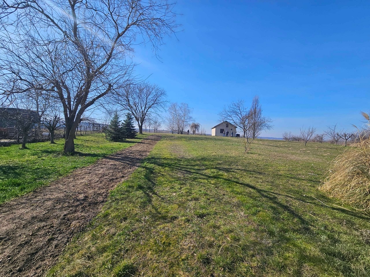 Odličan građevinski plac na Banoštoru