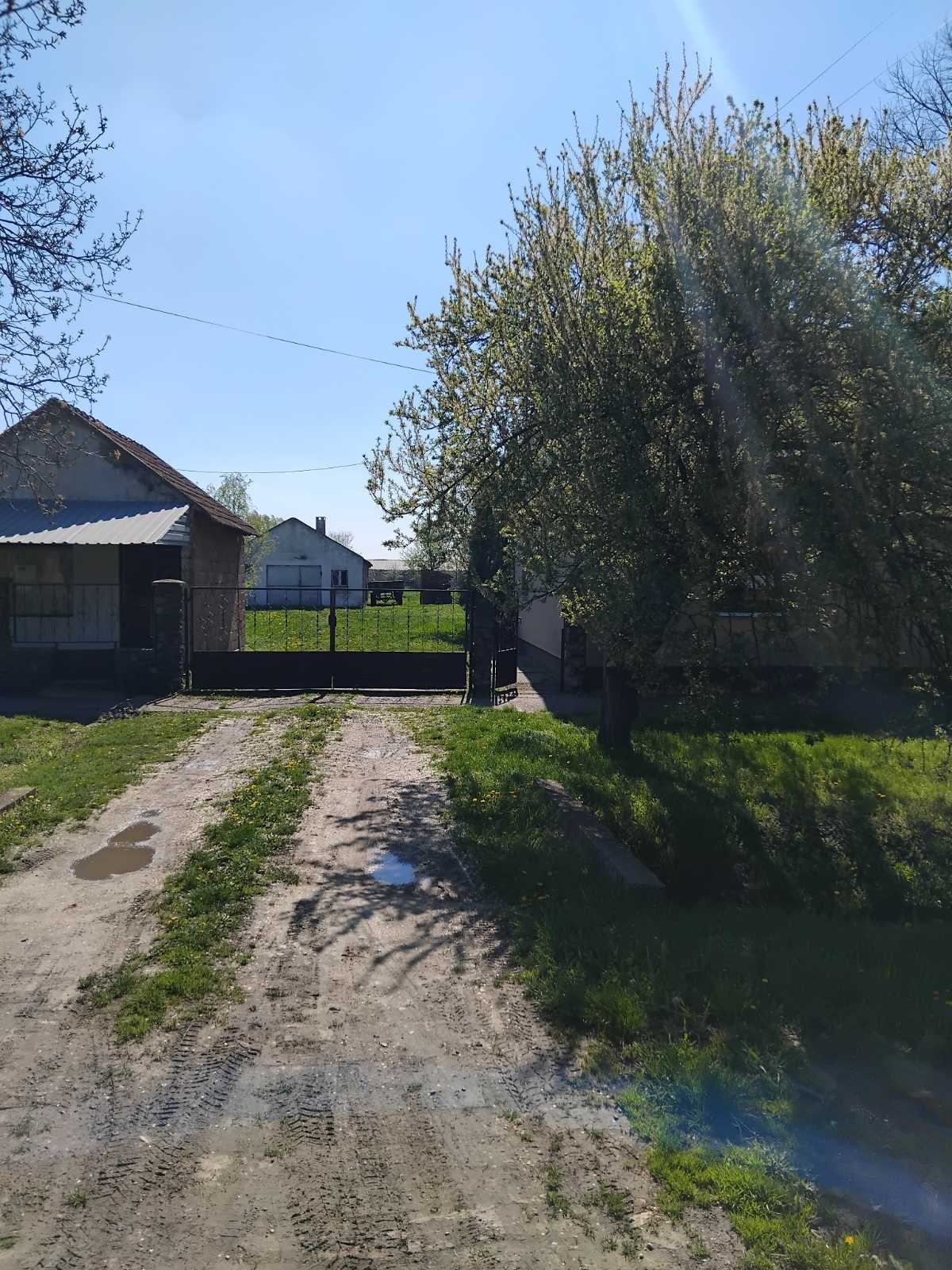 Prodajem kuću u Banatskom Karađorđevu