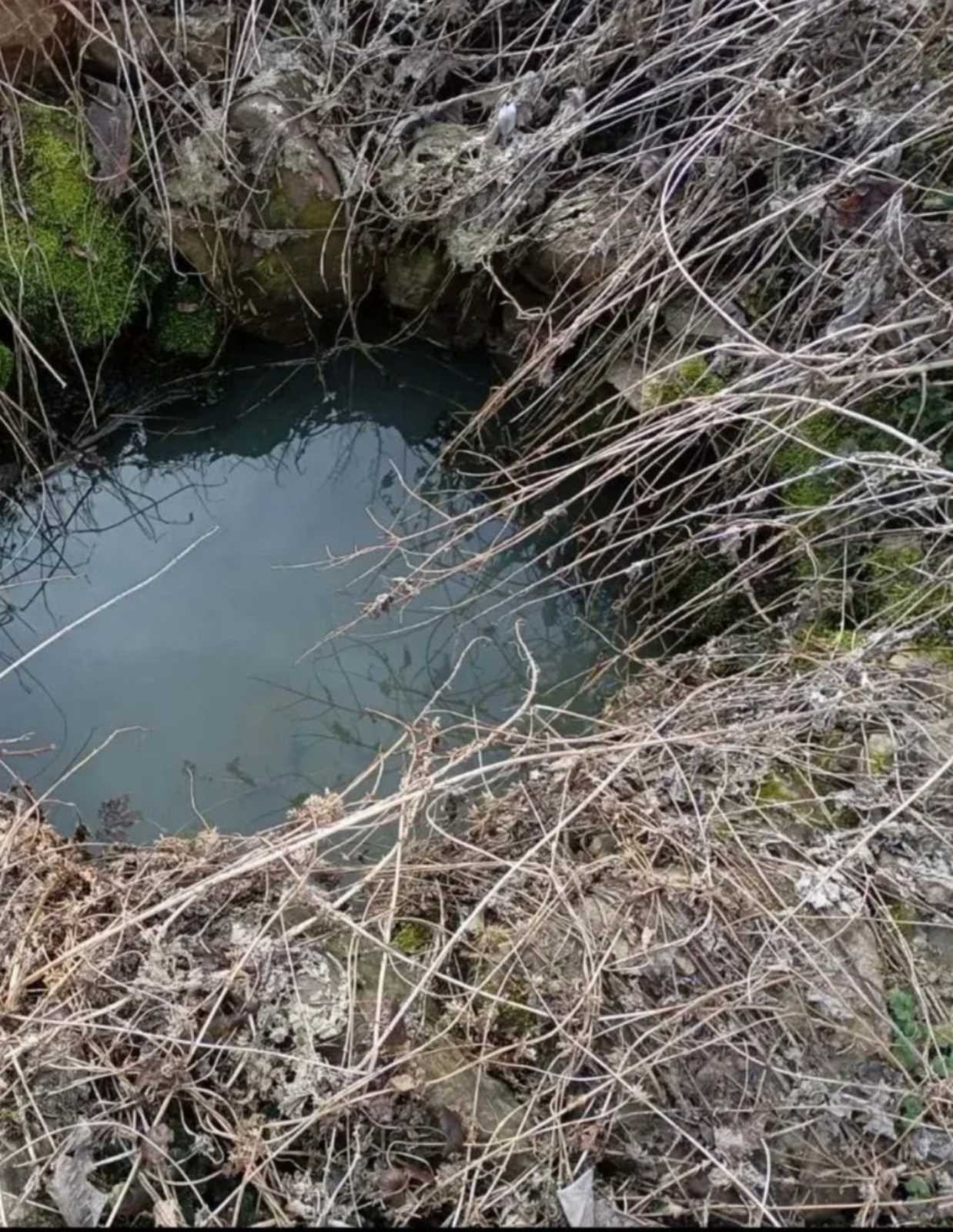 Prodajem kucu sa zemljiste na Staroj Planini
