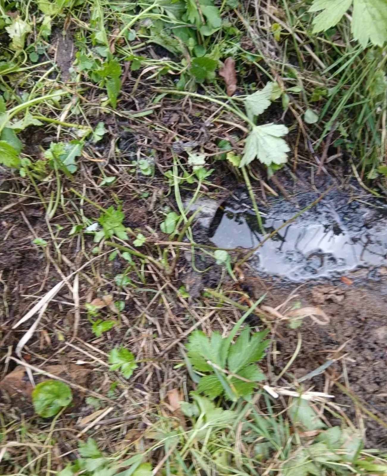 Prodajem kucu sa zemljiste na Staroj Planini