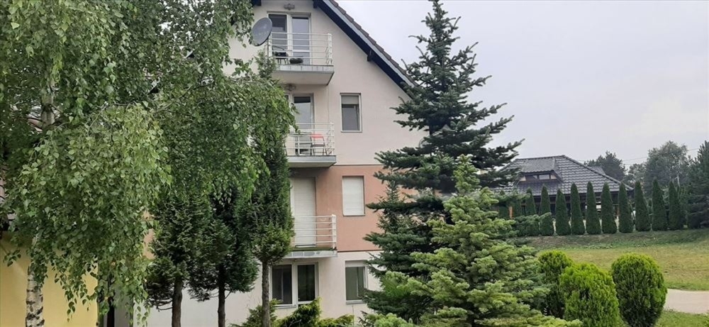 Prostran dupex na Divčibarama 70m2