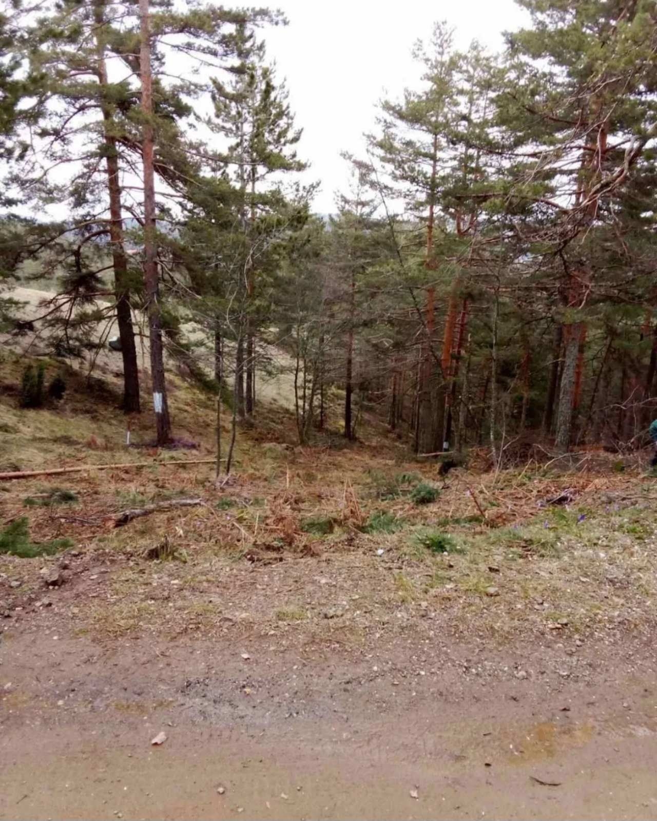 Prodajem plac na Divčibarama