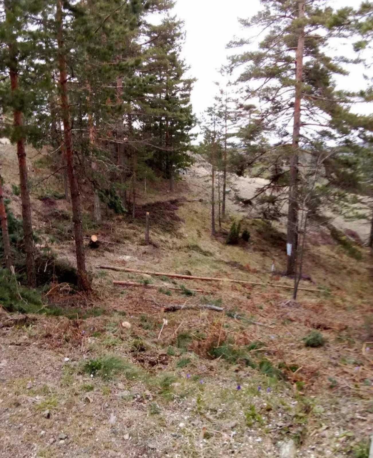 Prodajem plac na Divčibarama