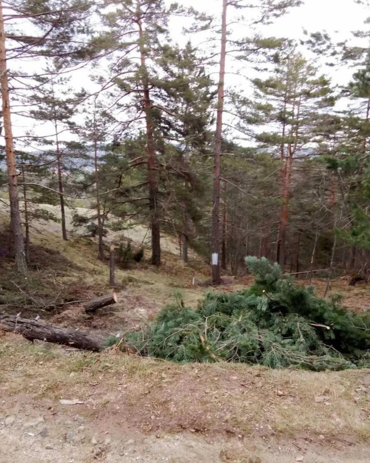 Prodajem plac na Divčibarama