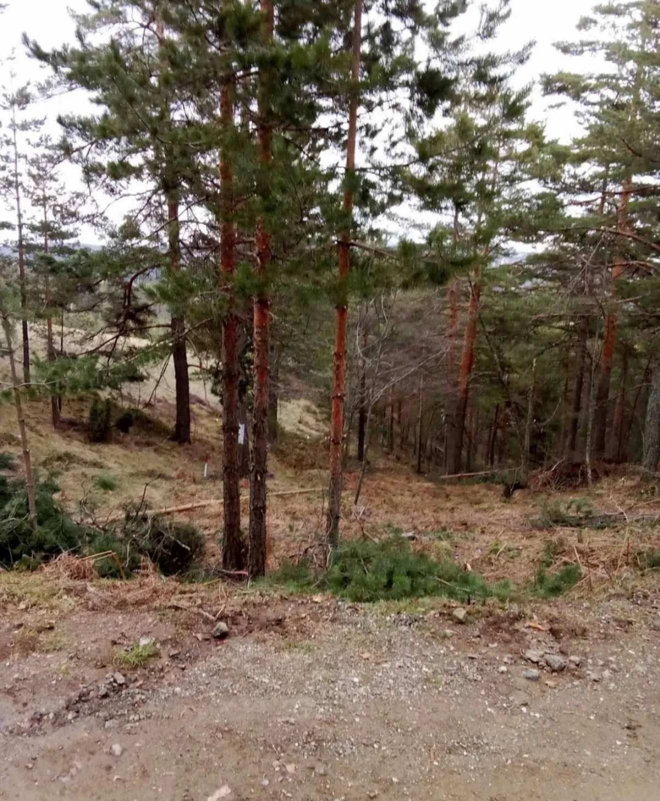 Prodajem plac na Divčibarama