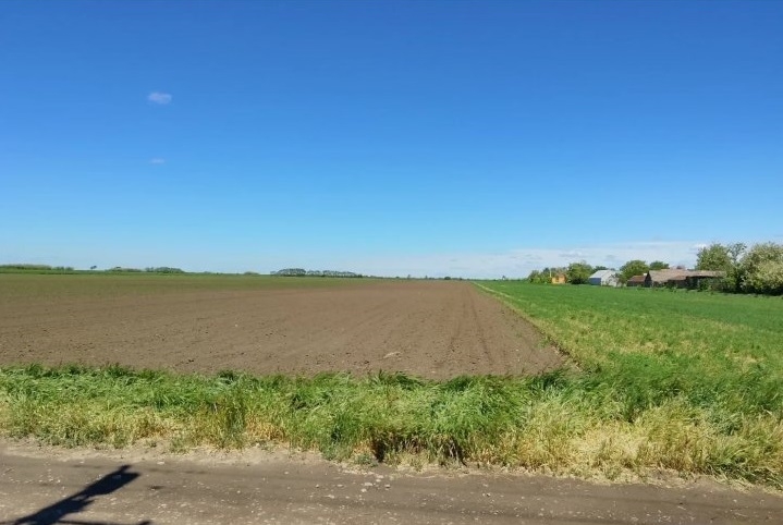 Plac Bačko Petrovo Selo