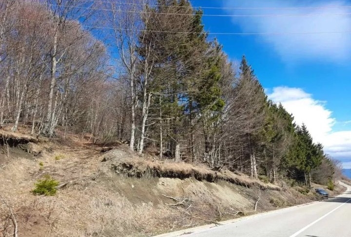 Prodaja parcela na Goliji