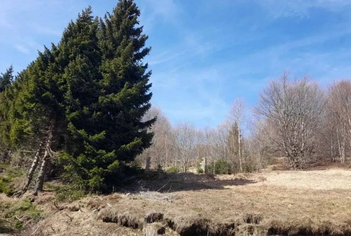 Prodaja parcela na Goliji