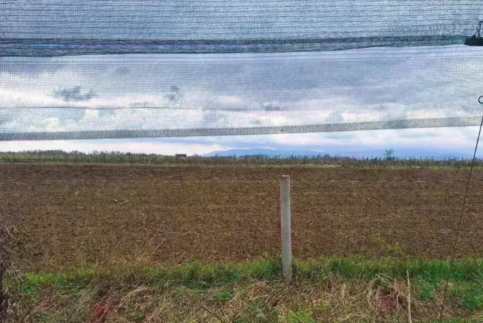 Poljoprivredno zemljiste na prodaju Šabac-Zminje