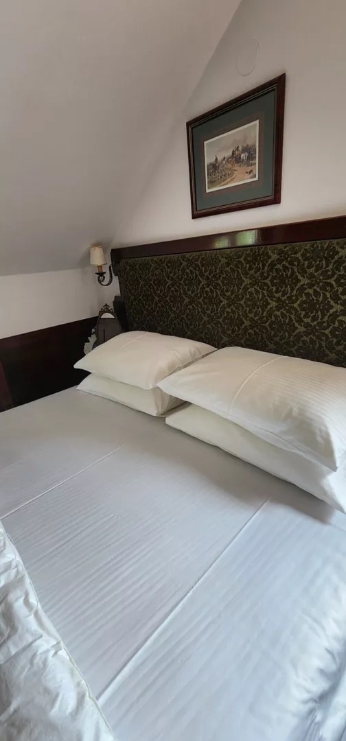 Zlatibor,Palisad-ekskluzivan stan 43m2,opremljen