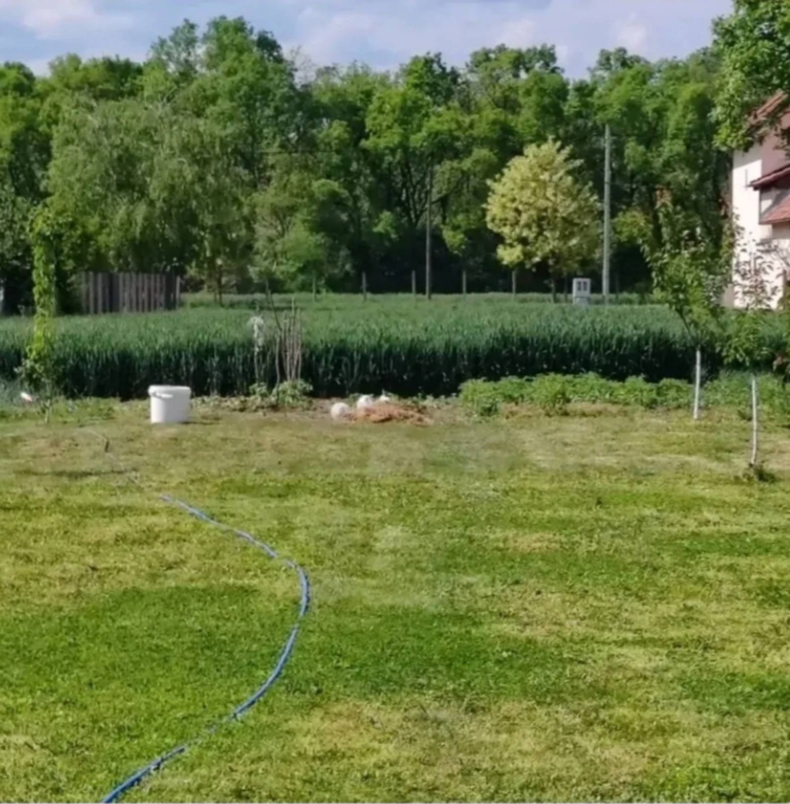 Prodajem plac u Vognju-Ruma