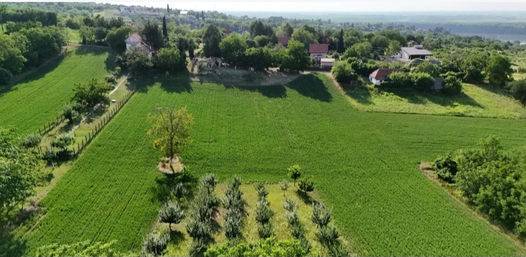 Plac Krcedin,put Janda 7700m2+materijal za gradnju