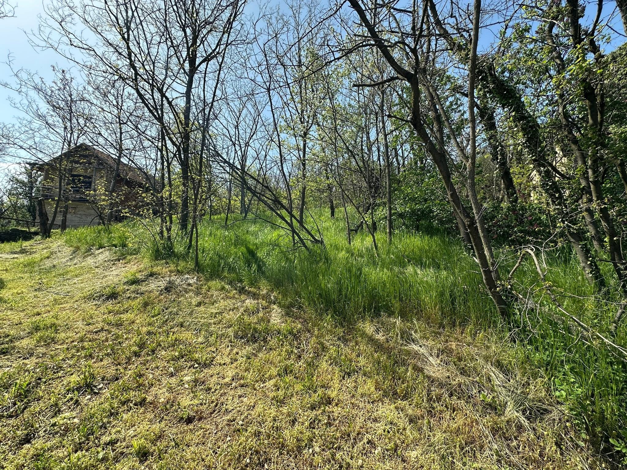 Plac na prodaju u podnozju Vrsackog brega