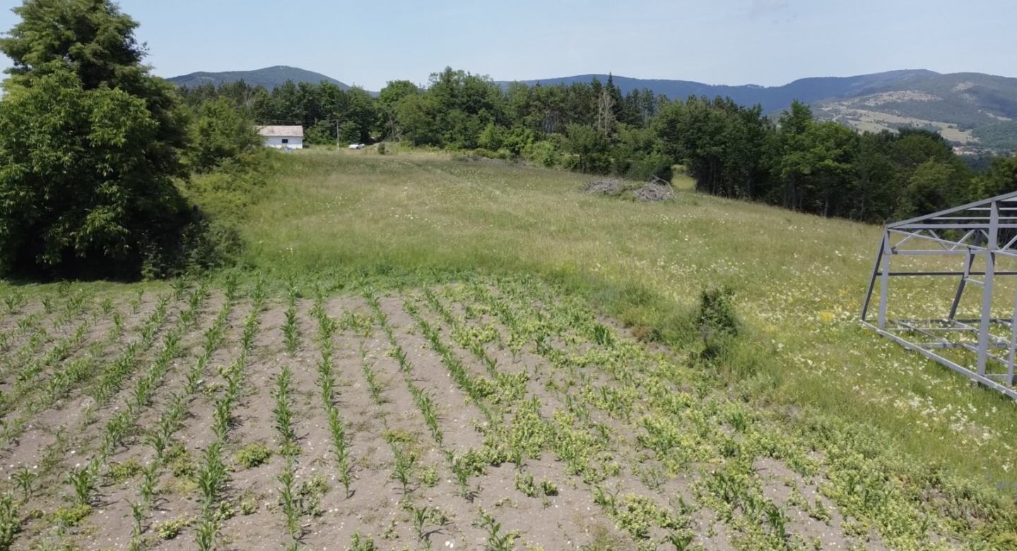 Plac na Divcibarama-selo Rosici