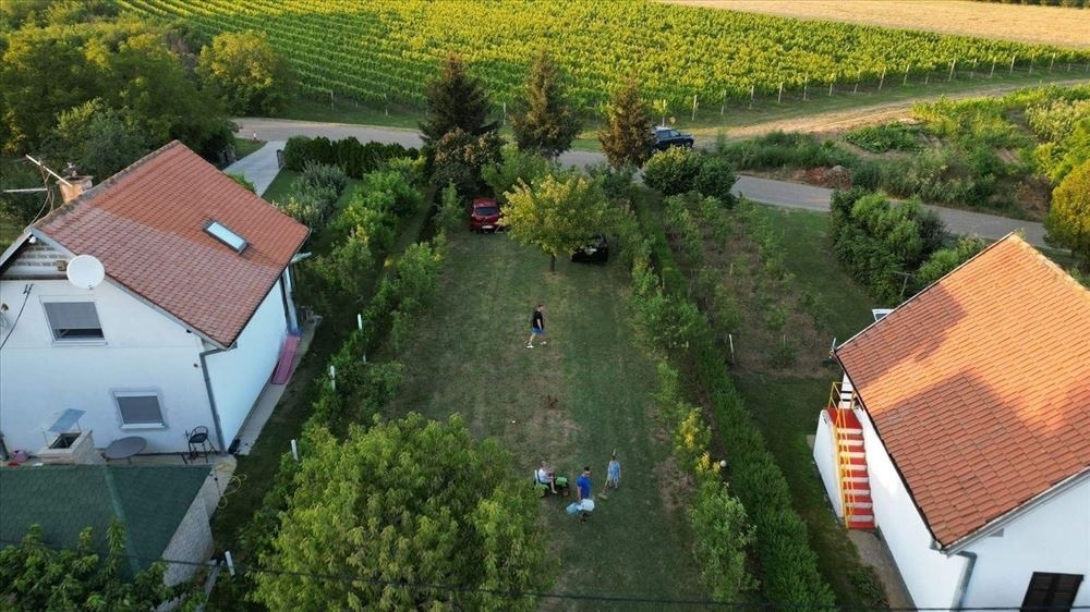 Vikendica Fruska Gora-Vizic 62m2,8.5ari placa