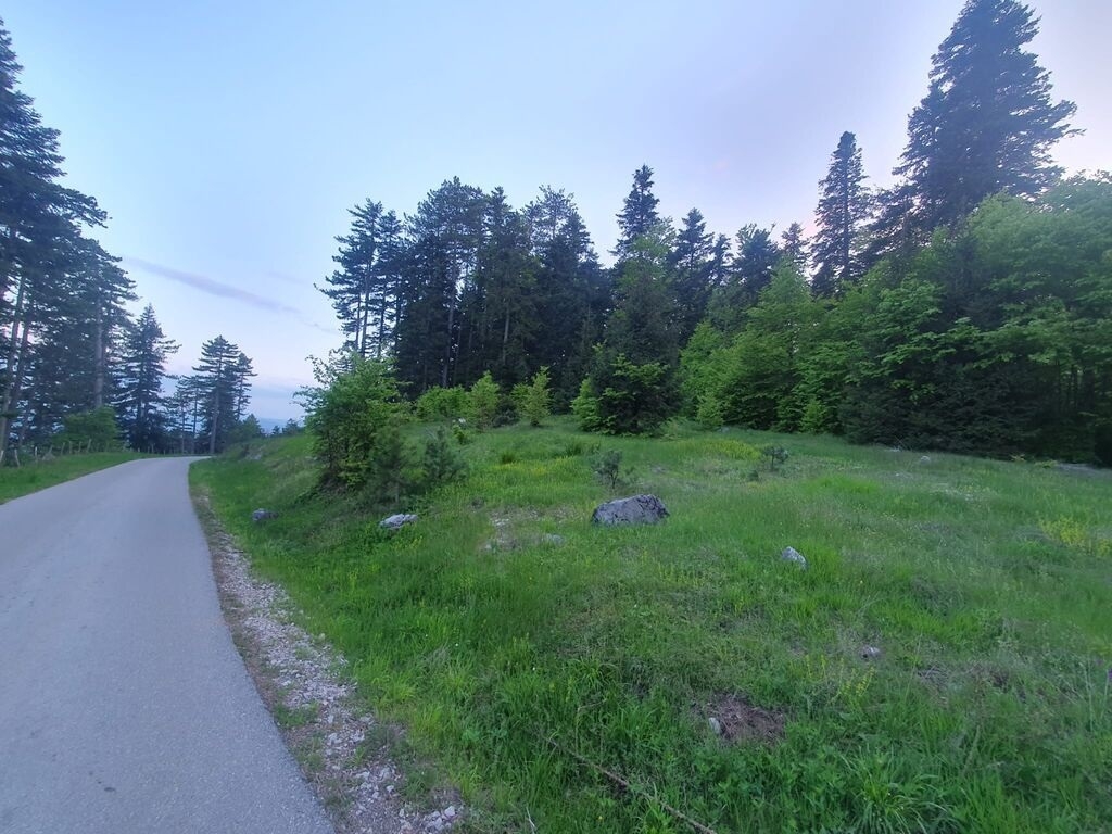 Na prodaju plac na Zlatiboru