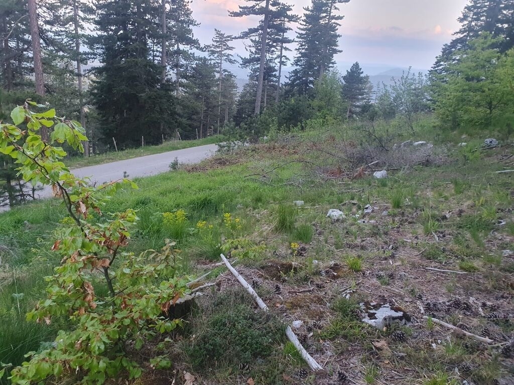 Na prodaju plac na Zlatiboru