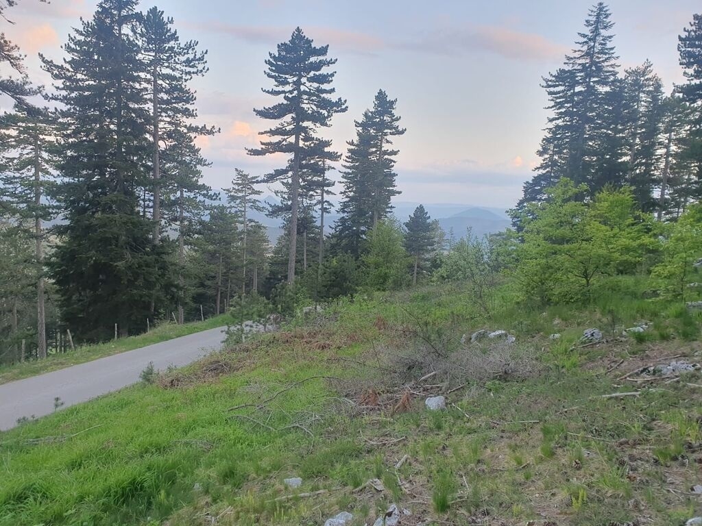 Na prodaju plac na Zlatiboru